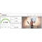 Używany Komputer do Battlefield 6 Ryzen 16GB SSD 256GB RX 5500XT 8GB W11 jak nowy